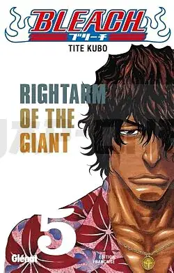 BLEACH - TOME 05 - RIGHTARM OF THE GIANT Offre Spéciale