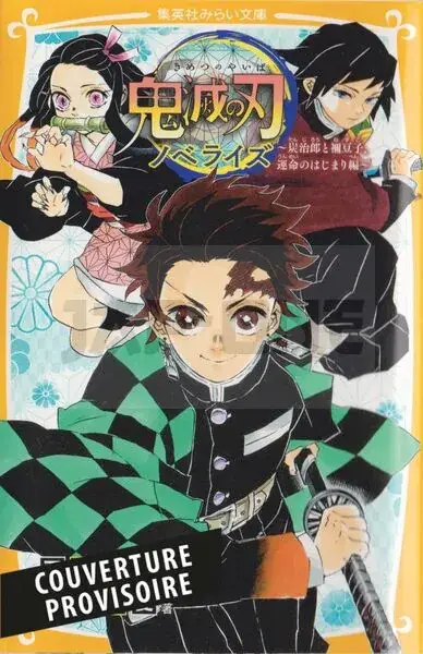 Prix Promo COFFRET DEMON SLAYER : ROMAN JEUNESSE N 01 + TOME 01