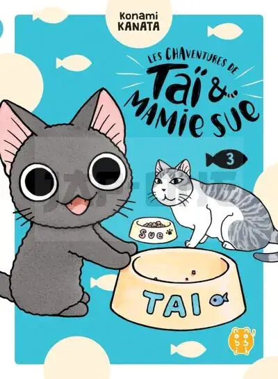 LES CHAVENTURES DE TAI ET MAMIE SUE T03 Offre Du Jour