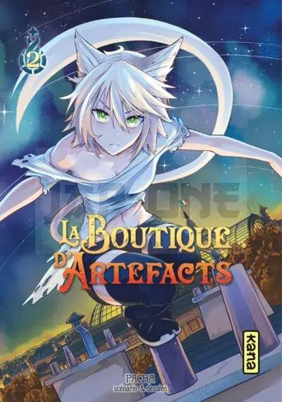 Commander Vite LA BOUTIQUE D'ARTEFACTS - TOME 2