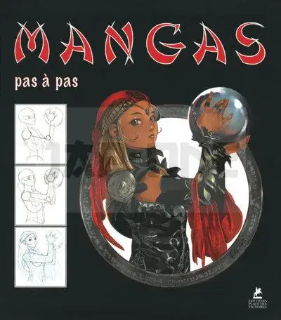 MANGAS PAS A PAS Prix Choc