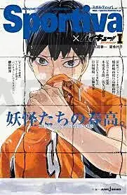 Acheter En Ligne HAIKYU!! SHOSETSUBAN!! 1 – LIGHT NOVEL (VO JAPONAIS)