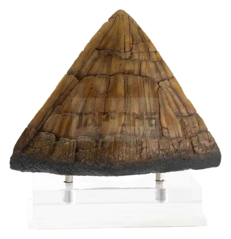Seulement Aujourd&rsquo;hui Jurassic Park Figurine Triceratops Spike Prop (Reproduction) 19 Cm
