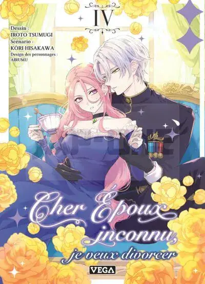 CHER ÉPOUX INCONNU, JE VEUX DIVORCER - TOME 4 Prix Cassé