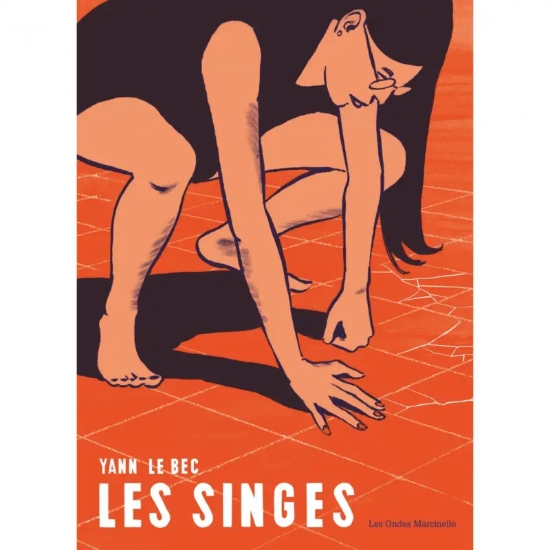 Les singes Commander Vite