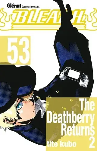 Bleach T53 Prix Cassé
