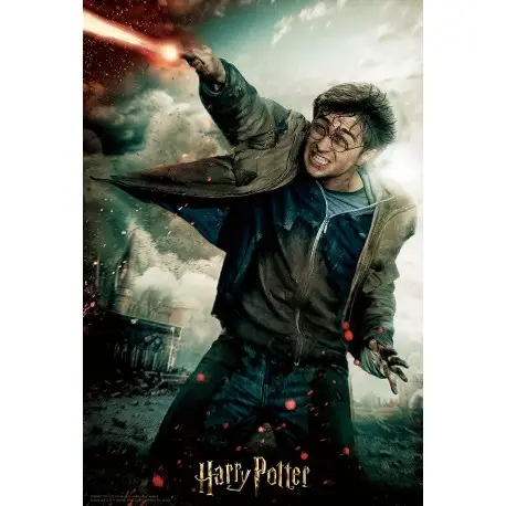 Vente Directe Puzzle Lenticulair Harry Potter Bataille 300 Pièces